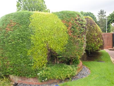 Picture 14